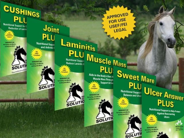 Get Your Horse to Perform Better