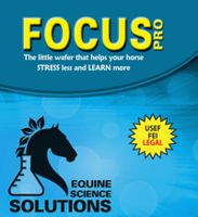 Horse Stress Less and Focus More