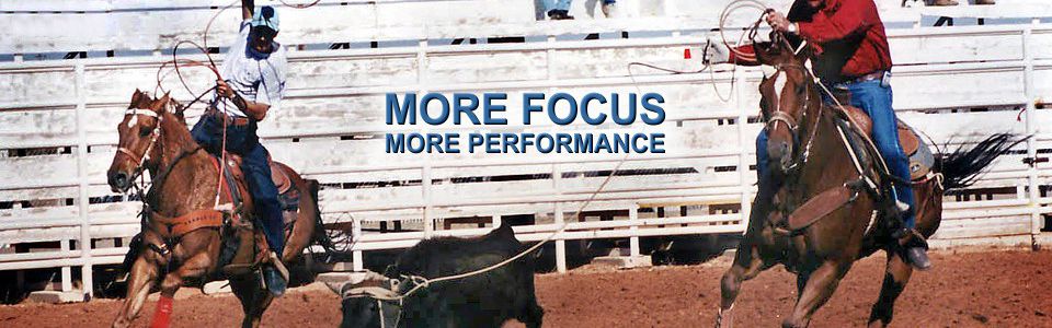 Focus PRO will Have Your Horse Stress Less and Focus More, Electro will improve your horse's performance and recover after stress, Topical Attack will cure your horse's bacterial, fungal and infections