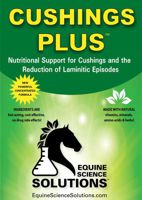 Provides Nutritional Support for Cushings in Horses