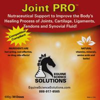Treatment of Joints, Cartilage, Ligaments & Tendons in horses