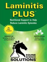 Prevent Re-Occurrence of Laminitis in horses
