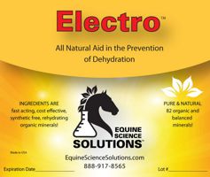 Electro will improve your horse's performance and recover after stress